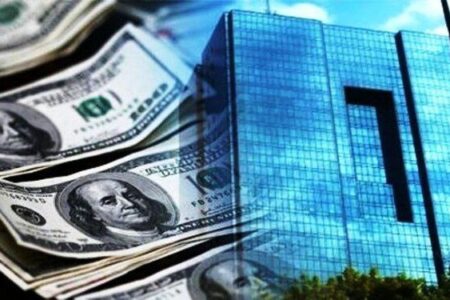 کدام بخش‌ها بیشترین ارز را از بانک مرکزی گرفتند؟