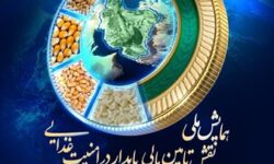 نخستین «همایش ملی نقش تأمینمالیپایدار در امنیتغذایی»