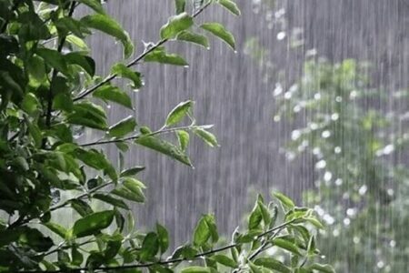 ۳ سناریوی ایران در مواجهه با «ال‌نینو»/ ۶ راهکار مقابله با مخاطرات بارش‌ها در کشور